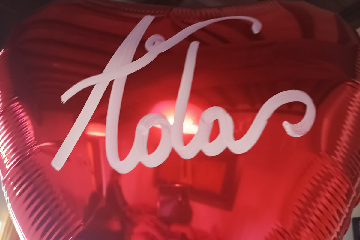 /assets/img/photogallery-adas-day-8.png