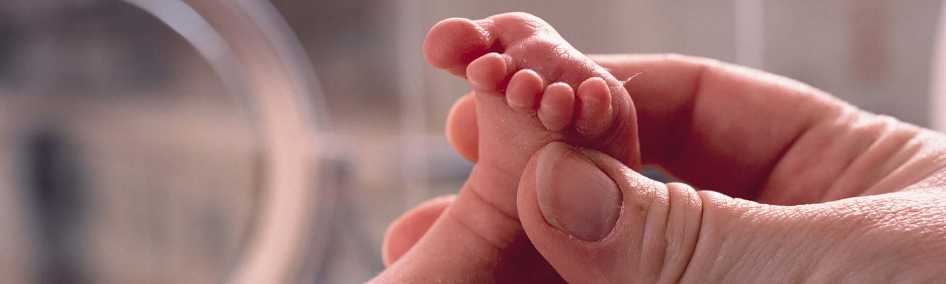 Una storia che unisce tante famiglie